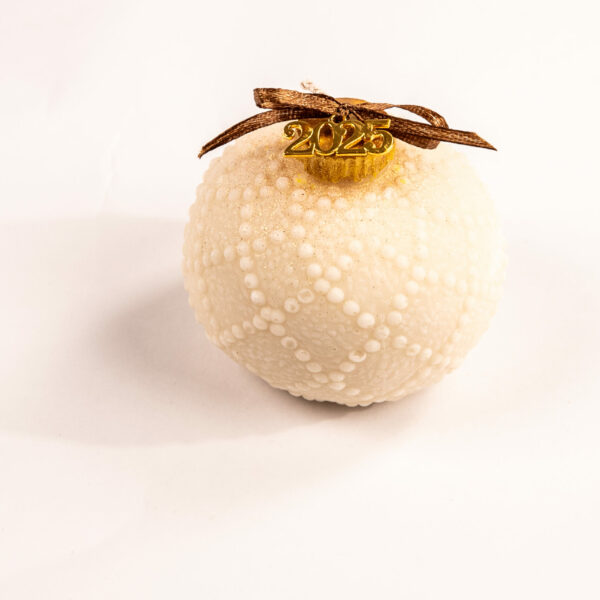 Χριστουγεννιάτικη Μπάλα