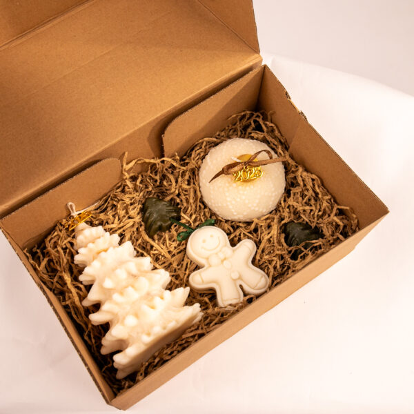 Συσκευασία Δώρου (2 μεγέθη)