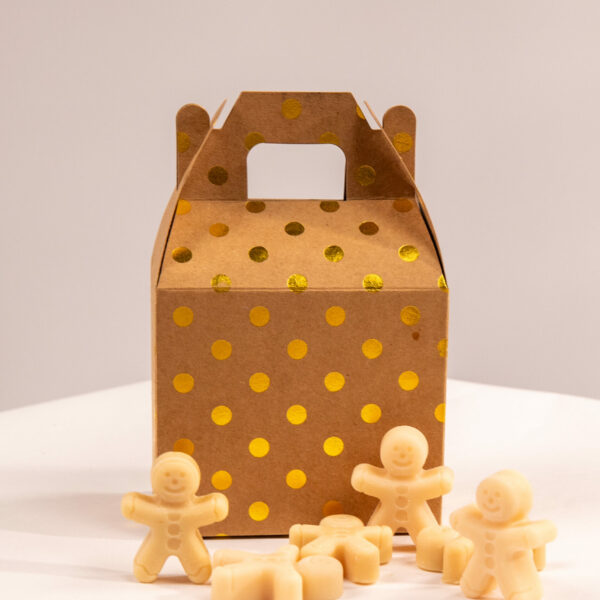 Κουτί με ανθρωπάκια wax melts